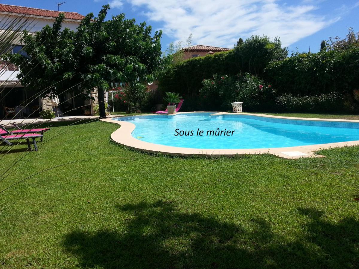 Bed & Breakfast Sous Le Murier